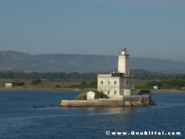 Le vacanze dei Gnubitters!