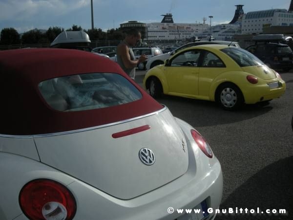 Le vacanze dei Gnubitters!