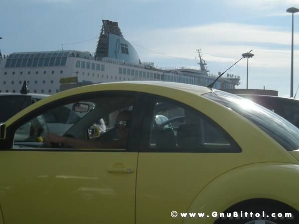 Le vacanze dei Gnubitters!