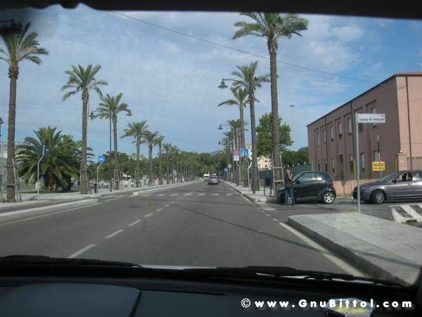 Le vacanze dei Gnubitters!