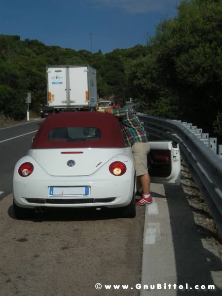 Le vacanze dei Gnubitters!