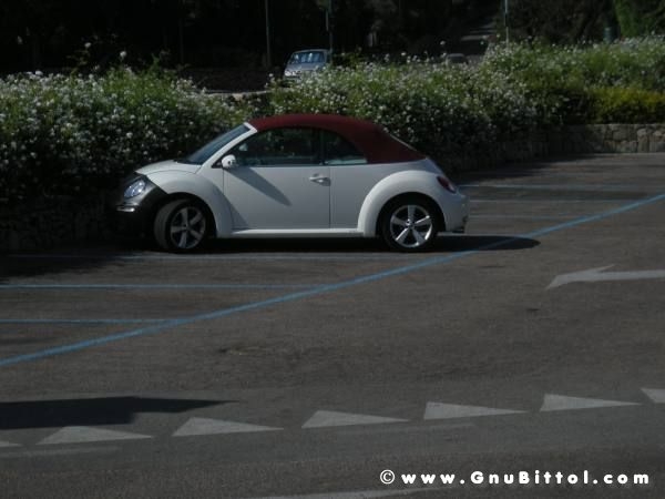 Le vacanze dei Gnubitters!