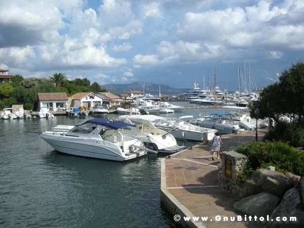 Le vacanze dei Gnubitters!