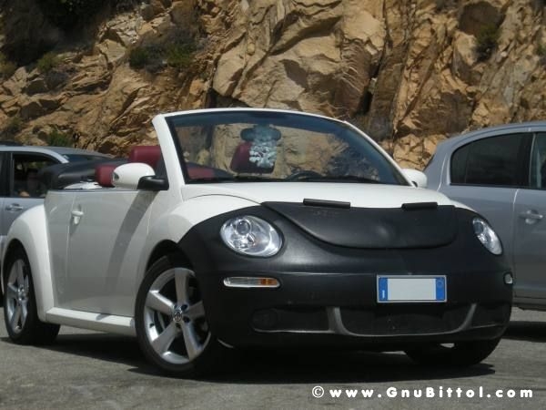 Le vacanze dei Gnubitters!