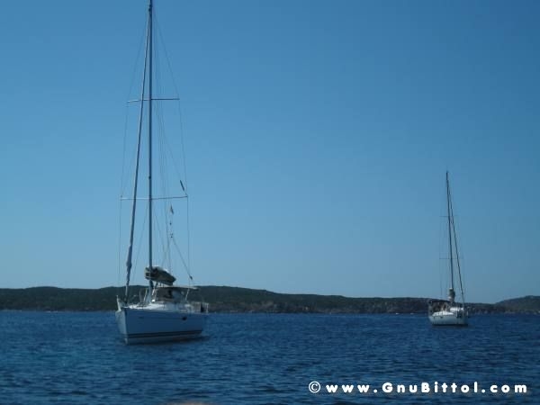 Le vacanze dei Gnubitters!