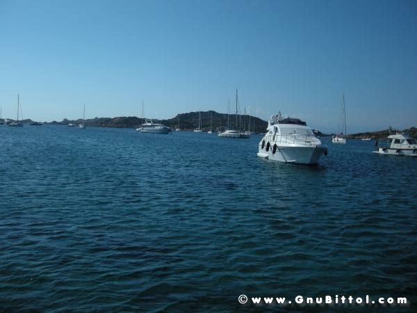 Le vacanze dei Gnubitters!