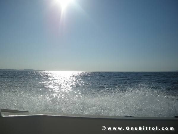 Le vacanze dei Gnubitters!