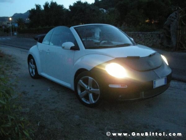 Le vacanze dei Gnubitters!