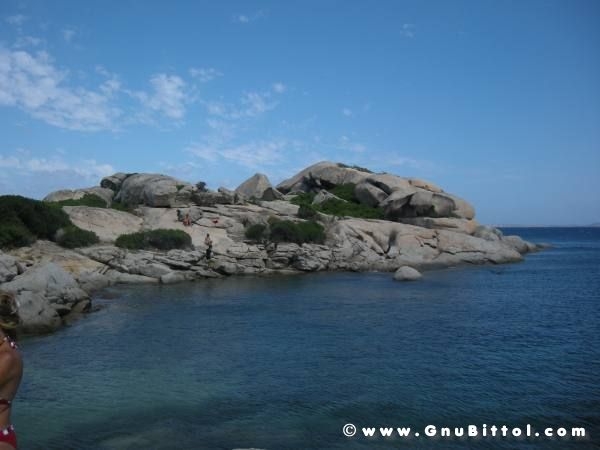 Le vacanze dei Gnubitters!