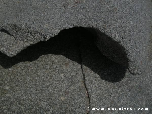 Le vacanze dei Gnubitters!