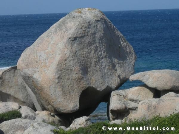 Le vacanze dei Gnubitters!