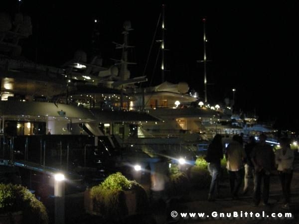 Le vacanze dei Gnubitters!