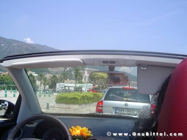 Le vacanze dei Gnubitters!