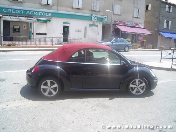 Le vacanze dei Gnubitters!