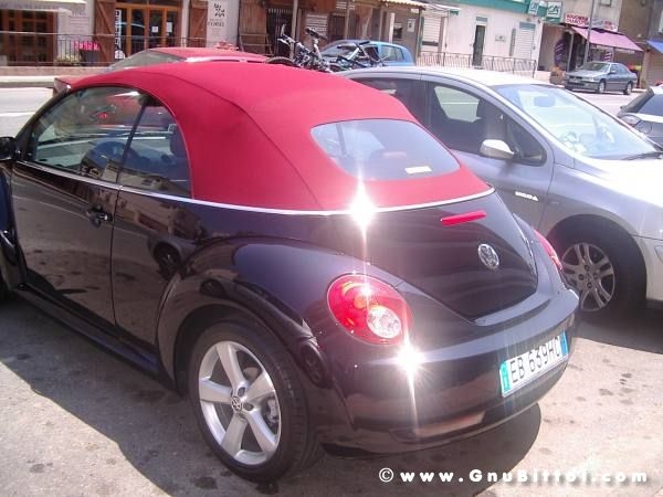 Le vacanze dei Gnubitters!