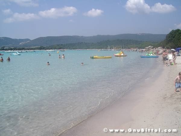 Le vacanze dei Gnubitters!