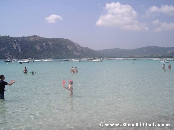 Le vacanze dei Gnubitters!