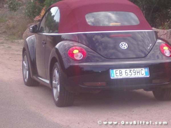 Le vacanze dei Gnubitters!