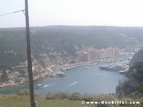 Le vacanze dei Gnubitters!