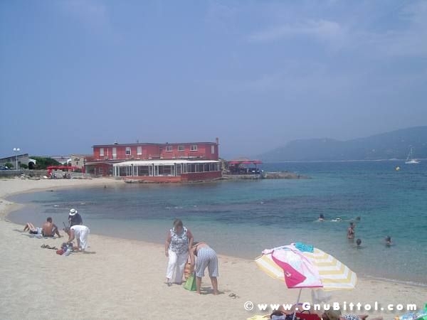 Le vacanze dei Gnubitters!