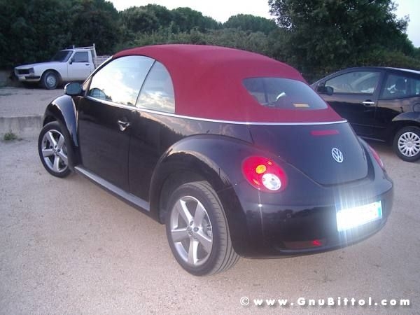 Le vacanze dei Gnubitters!