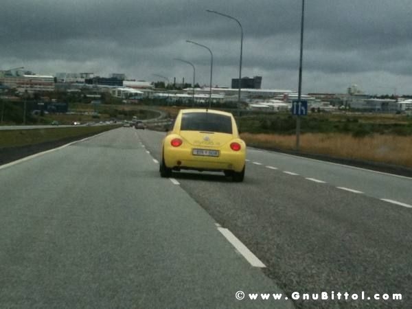 Le vacanze dei Gnubitters!