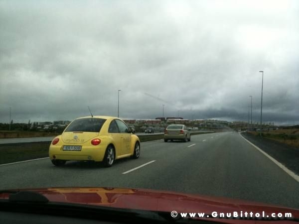 Le vacanze dei Gnubitters!