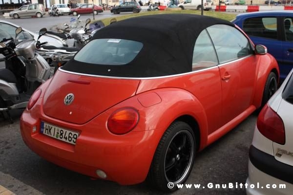 Le vacanze dei Gnubitters!