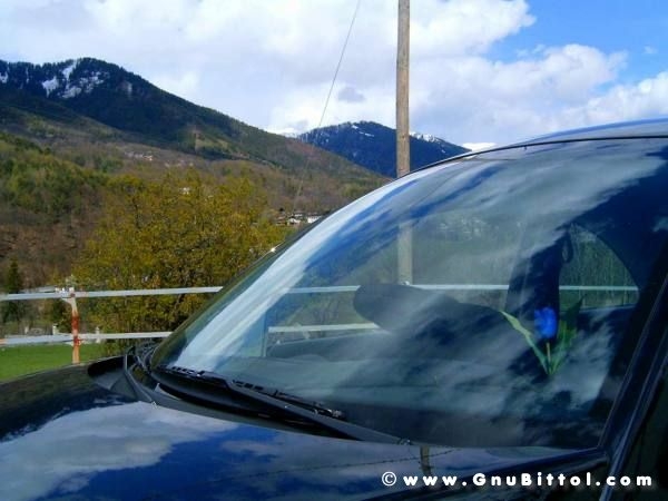 Le vacanze dei Gnubitters!