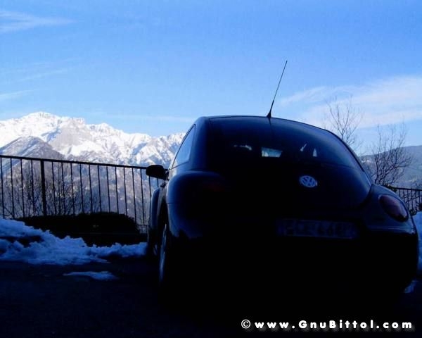 Le vacanze dei Gnubitters!