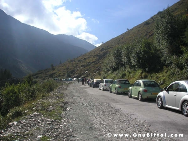 Le vacanze dei Gnubitters!