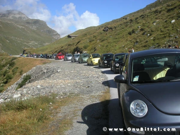 Le vacanze dei Gnubitters!