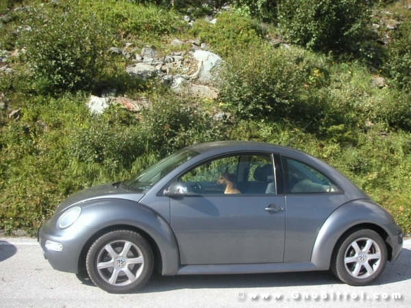 Le vacanze dei Gnubitters!