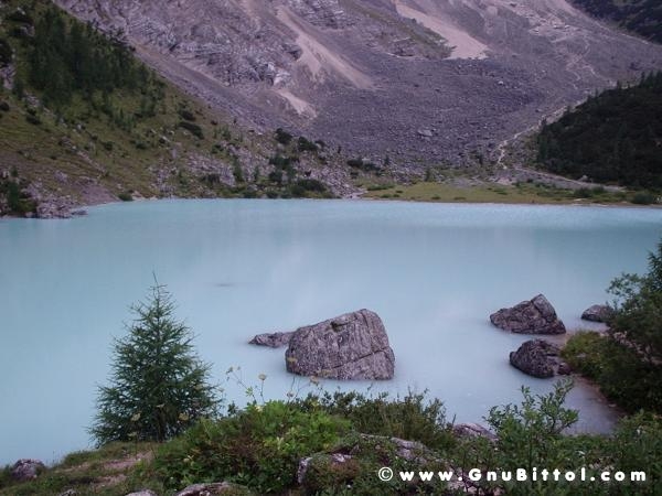 Le vacanze dei Gnubitters!
