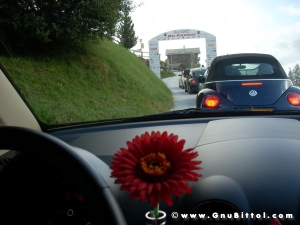 Le vacanze dei Gnubitters!