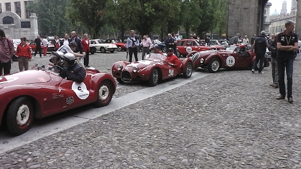 Le vacanze dei Gnubitters!