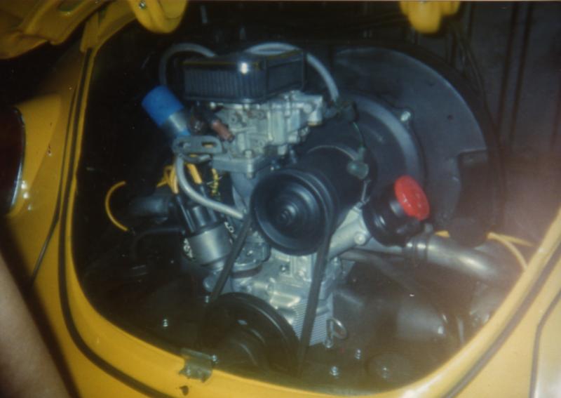 Le vacanze dei Gnubitters!