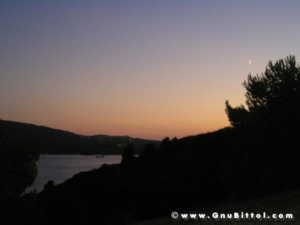 Le vacanze dei Gnubitters!