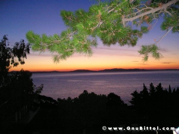 Le vacanze dei Gnubitters!