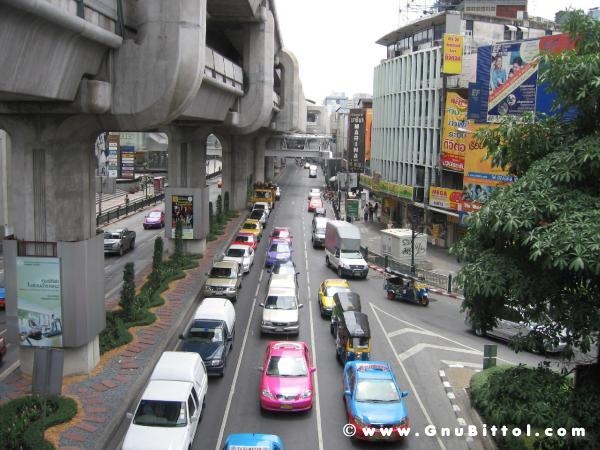 Le vacanze dei Gnubitters!