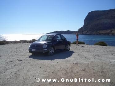 Le vacanze dei Gnubitters!