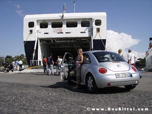 Le vacanze dei Gnubitters!
