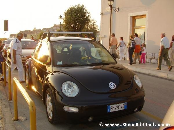 Le vacanze dei Gnubitters!