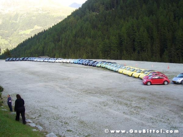 Le vacanze dei Gnubitters!