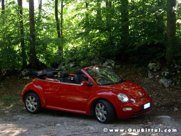 Le vacanze dei Gnubitters!