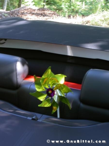 Le vacanze dei Gnubitters!