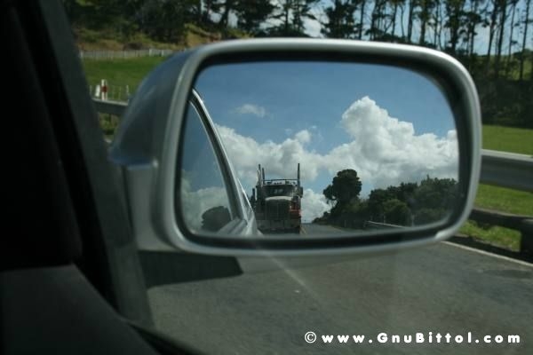 Le vacanze dei Gnubitters!