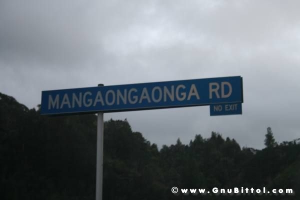 Le vacanze dei Gnubitters!