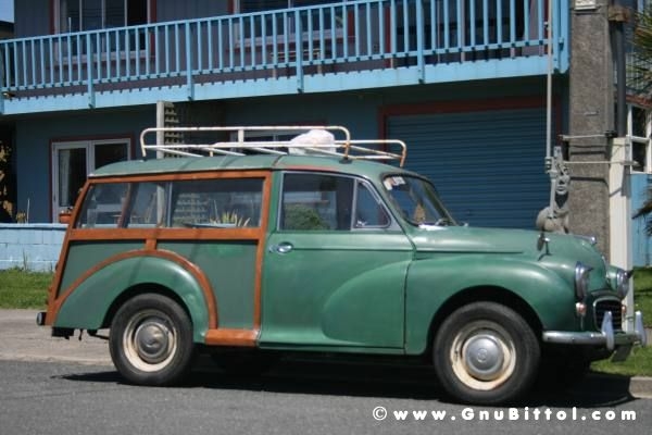 Le vacanze dei Gnubitters!