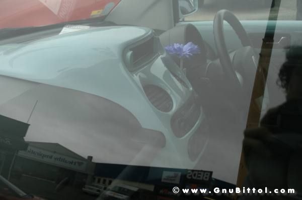 Le vacanze dei Gnubitters!